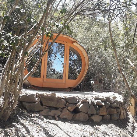Biosfera Lodge Olmué Kültér fotó