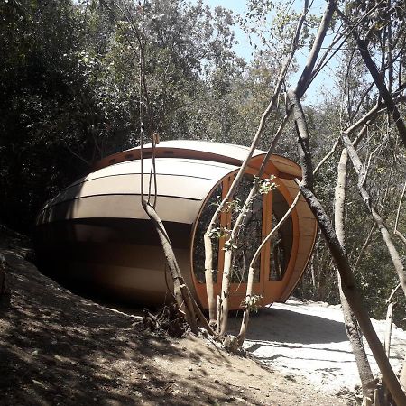 Biosfera Lodge Olmué Kültér fotó
