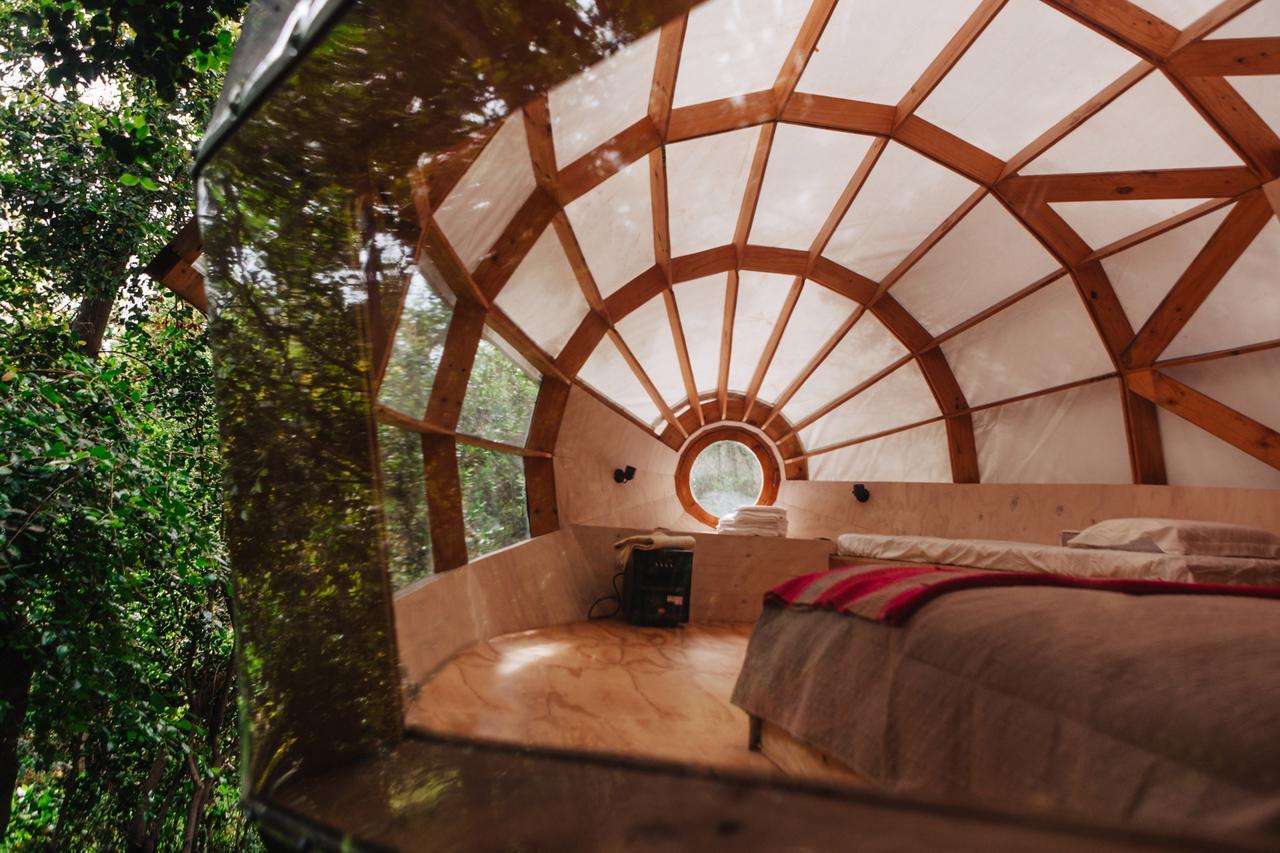 Biosfera Lodge Olmué Kültér fotó