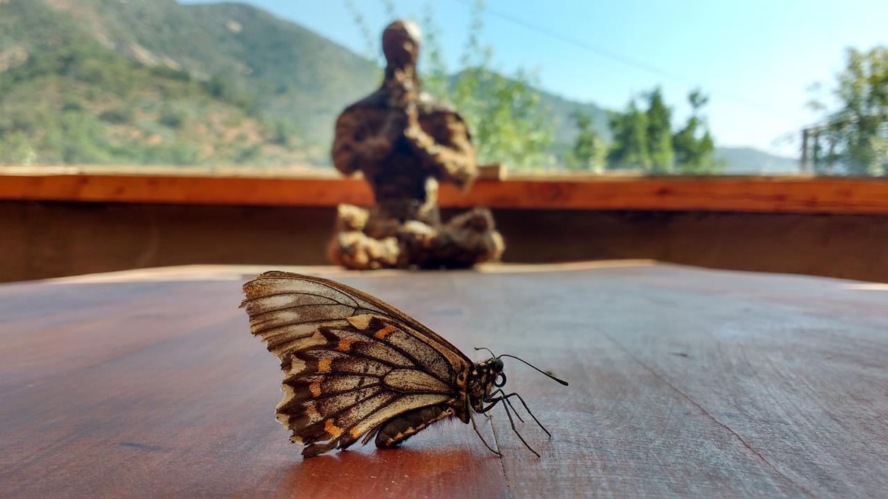 Biosfera Lodge Olmué Kültér fotó