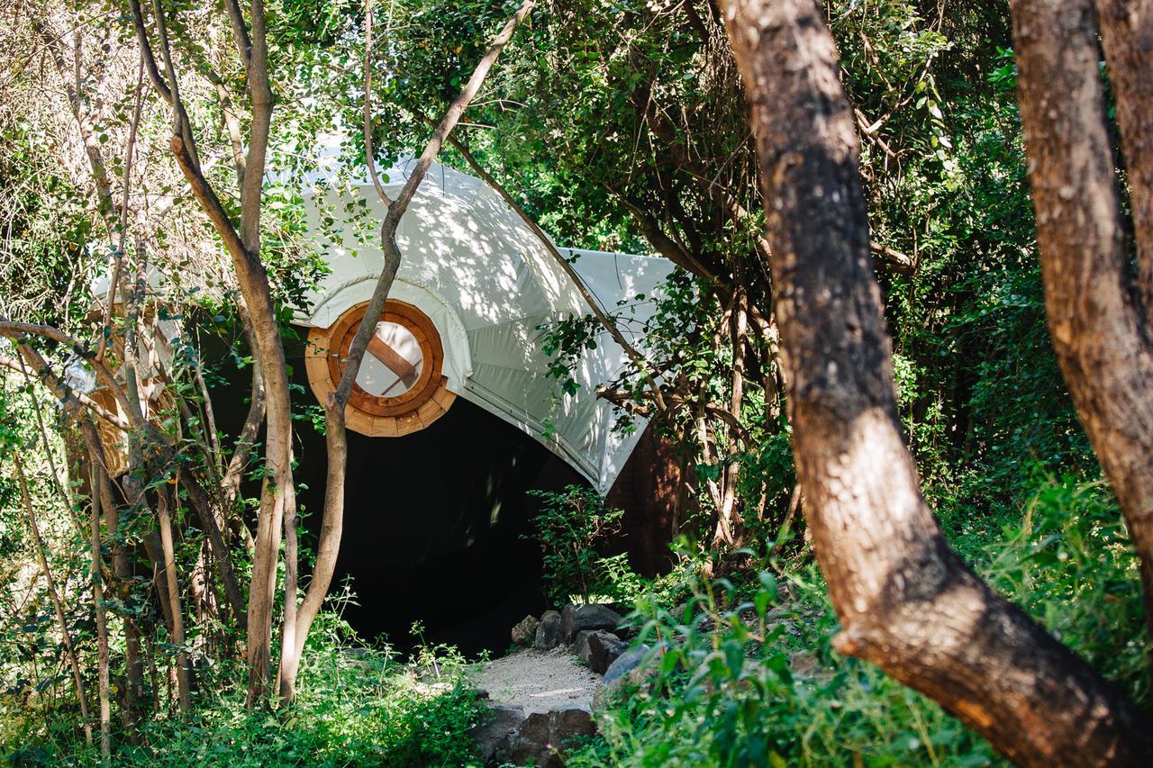 Biosfera Lodge Olmué Kültér fotó