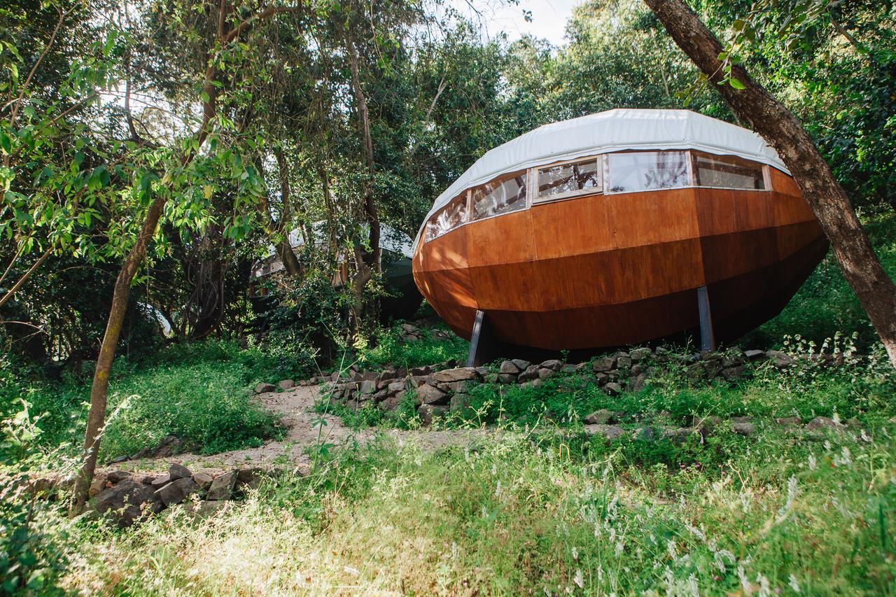Biosfera Lodge Olmué Kültér fotó