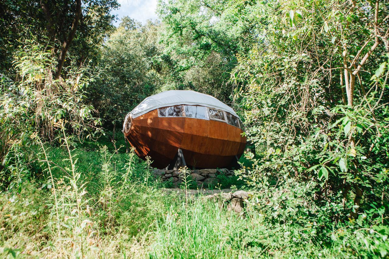 Biosfera Lodge Olmué Kültér fotó