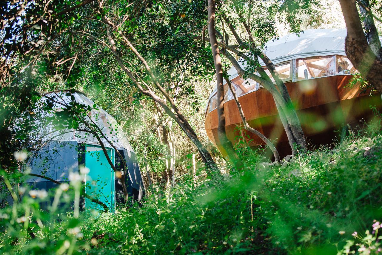 Biosfera Lodge Olmué Kültér fotó