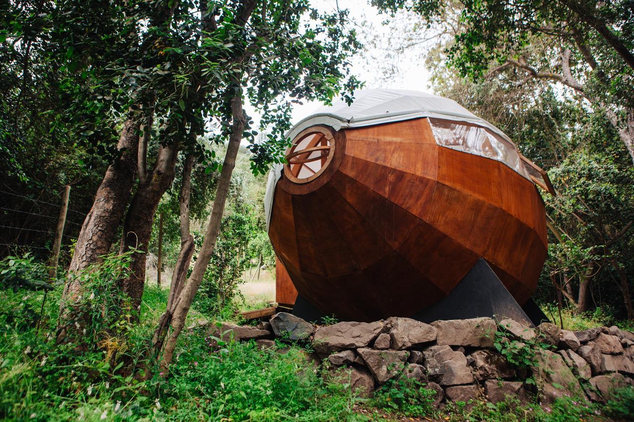 Biosfera Lodge Olmué Kültér fotó