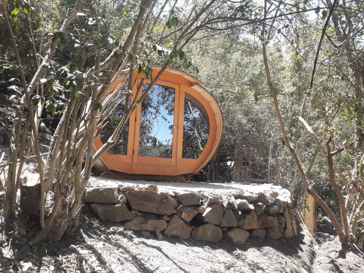 Biosfera Lodge Olmué Kültér fotó